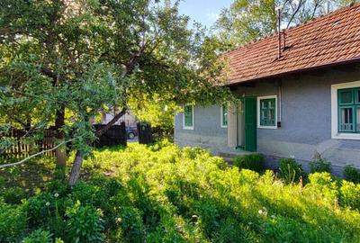 Casă cu 2 camere cu Teren 1000 Mp în Chichiș - 6