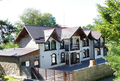 Pensiune de vanzare in Sovata Conacul Cosalina - 16