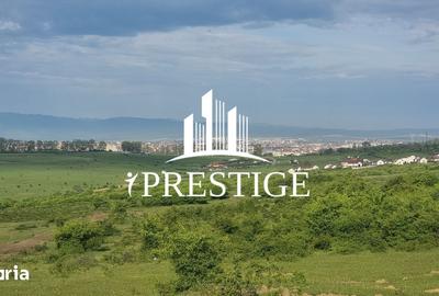 Teren de 2000 mp, în Trei Stejari - 19