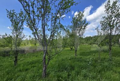 Cabana lemn cu 4 dormitoare, 120mp, teren intravilan de 1250mp - 16