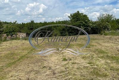 Teren intravilan generos cu utilitati si front larg in Jucu de Sus - 5