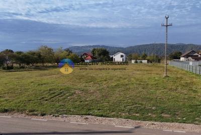 Teren de vanzare 1800 mp - Dumbrava Rosie - 6