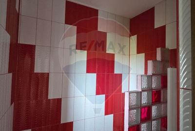 Casa la gri P+M cu anexa - oportunitate unica in Chisineu-Cris! - 12