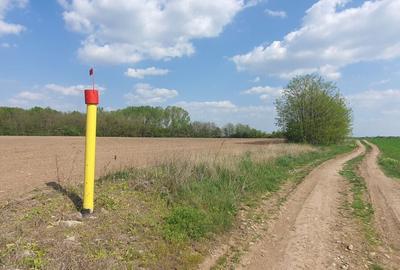 Teren intravilan Butimanu/Barbuceanu, Dambovita - 2