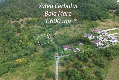 TEREN cu priveliste- Valea Cerbului