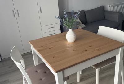 Garsonieră decomandată în Dristor - 4