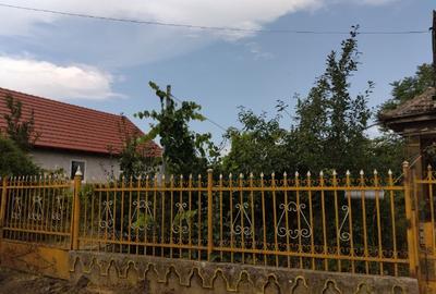 Casa de vanzare in Domanesti - 4