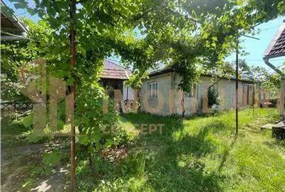 Casă cu Teren 2430 Mp în Satulung - 2