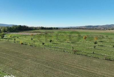 Spațiu comercial, în Aușeu - 9