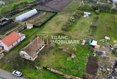 Teren intravilan de 3593 mp, în Parța - 4