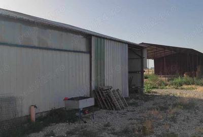 Spațiu comercial, de 1,300 mp, în Scânteia - 6
