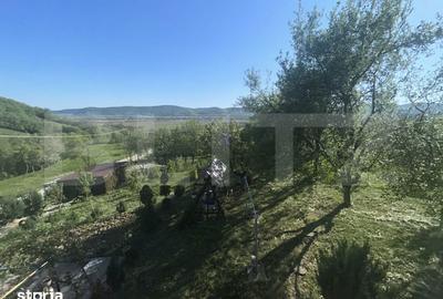 Casă cu 3 camere cu Teren 1400 Mp în Jichișu de Jos - 18