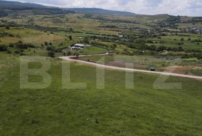 Teren intravilan, 1.000 mp, Certificat de urbanism, zona Sop Teren intravilan, 1.000 mp, Certificat de urbanism, zona Sop - 1