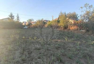 Teren de 3017 mp, în Plopu - 5