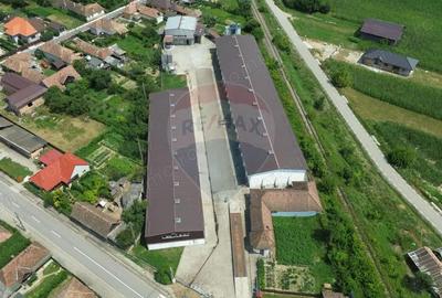 Spațiu comercial, de 2,500 mp, în Sângeorgiu de Pădure - 2