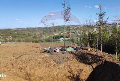 Spațiu comercial, în Spitalul Județean - 13