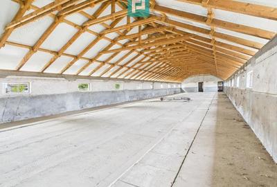 Hala pentru produc?ie / ferma zootehnica - Varia? - 2