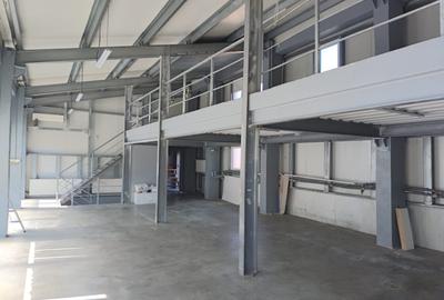 Spațiu industrial, de 260 mp, în Mihai Viteazul - 6