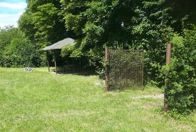 Teren extravilan  de vanzare | 4288 mp | in Gusterita - 4