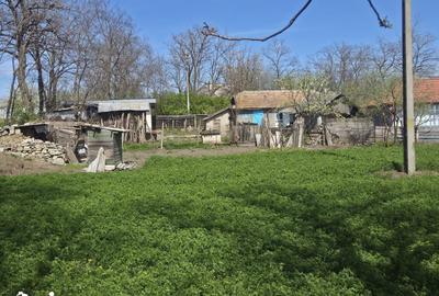 Casă cu 5 camere cu Teren 2000 Mp în Rădăuți-Prut - 5