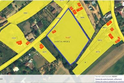 Teren 6.254 mp,Teiu -Intravilan,Deschidere 75 ml, Curent,Comision 0% - 2