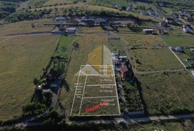 Teren de 750 mp, în Central