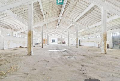 Hale 1800 mp fiecare – acces autostradă, Teiu, HD - 4