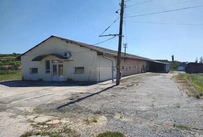 Spațiu comercial, de 972 mp, în Mișca - 12