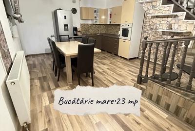 Direct proprietar, 5 camere, casa individuala mare unfamiliara + spatiu business, 10 km de Timisoara - 7