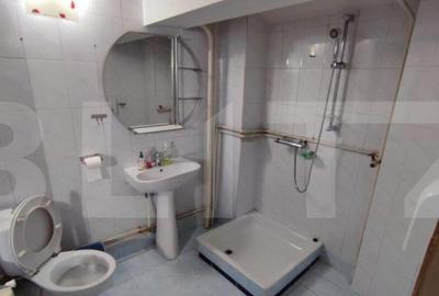 Casa 7 camere, 280mp, zona Brazda lui Novac - 3