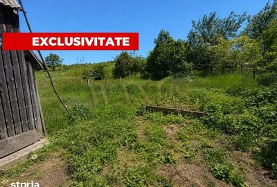 Casă cu 3 camere cu Teren 1577 Mp în Sava - 11