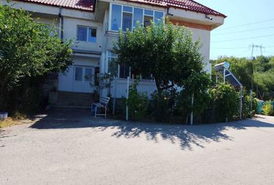 Apartament cu 2 camere decomandat în Curtișoara - 8