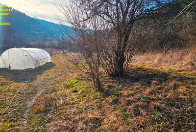 Casă cu 4 camere cu Teren 6000 Mp în Exterior Nord - 9