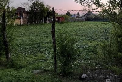 Spațiu comercial, în Singureni - 6