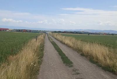 Teren de 400 mp, în Central - 6