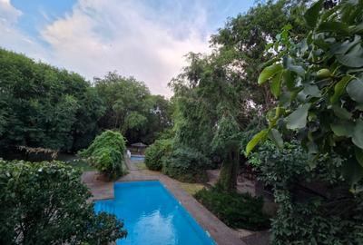 Casa la curte, gradina spectaculoasa, piscina,  400mp construiti /4500mp- curte - 6