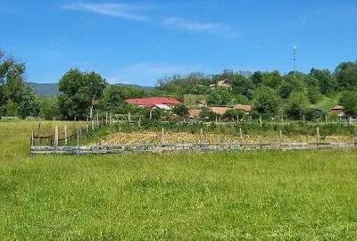 Teren extravilan arabil Tisau, ID: R2590475 - 5