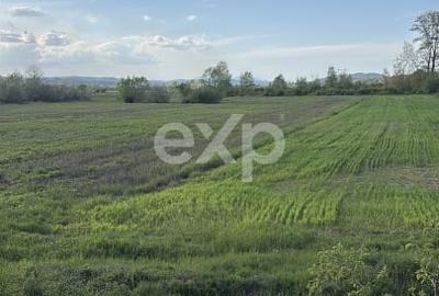 Teren agricol extravilan de 20000 mp, în Budeasa Mare - 3