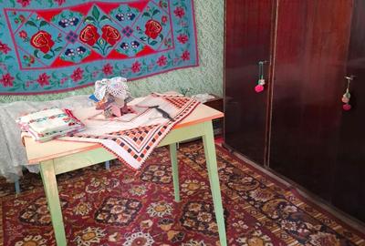 Casă cu 3 camere în Beiu - 7