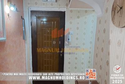 Apartament cu 2 camere semidecomandat, mobilat în Banat - 5