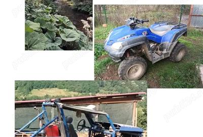 Casa cu pamanturi si oportunita?i pentru cre?terea animalelor - 4