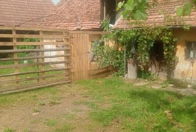 Casa de vanzare Benesti Sibiu - 3