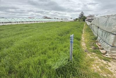 Spațiu comercial, în Dobreni - 3