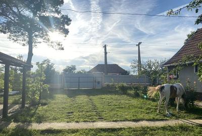 Casă cu 2 camere în Cheresig - 1