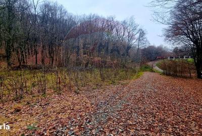 Teren de 924 mp, în Tăuții-Măgherăuș - 1