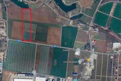 Teren Construcții intravilan de 29000 mp, în Sântandrei - 1