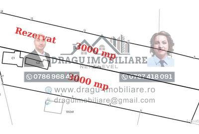 Teren intravilan cu utilități - 3.000 mp / lot - Slobozia Corni, comuna Ghidigen - 8