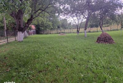 Spațiu comercial, în Benic - 4