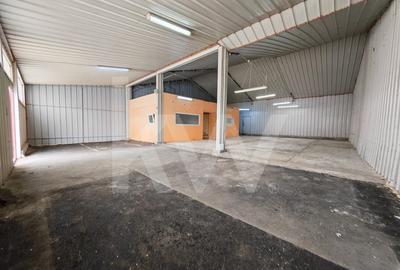 Spațiu industrial, de 216 mp, în Turnișor - 2