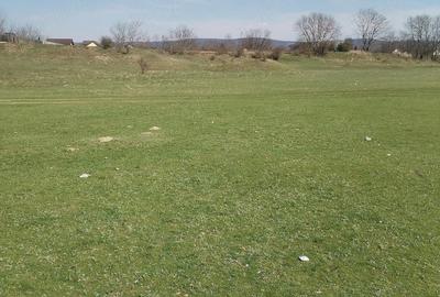 Teren de 5500 mp, în Ruși-Ciutea - 17